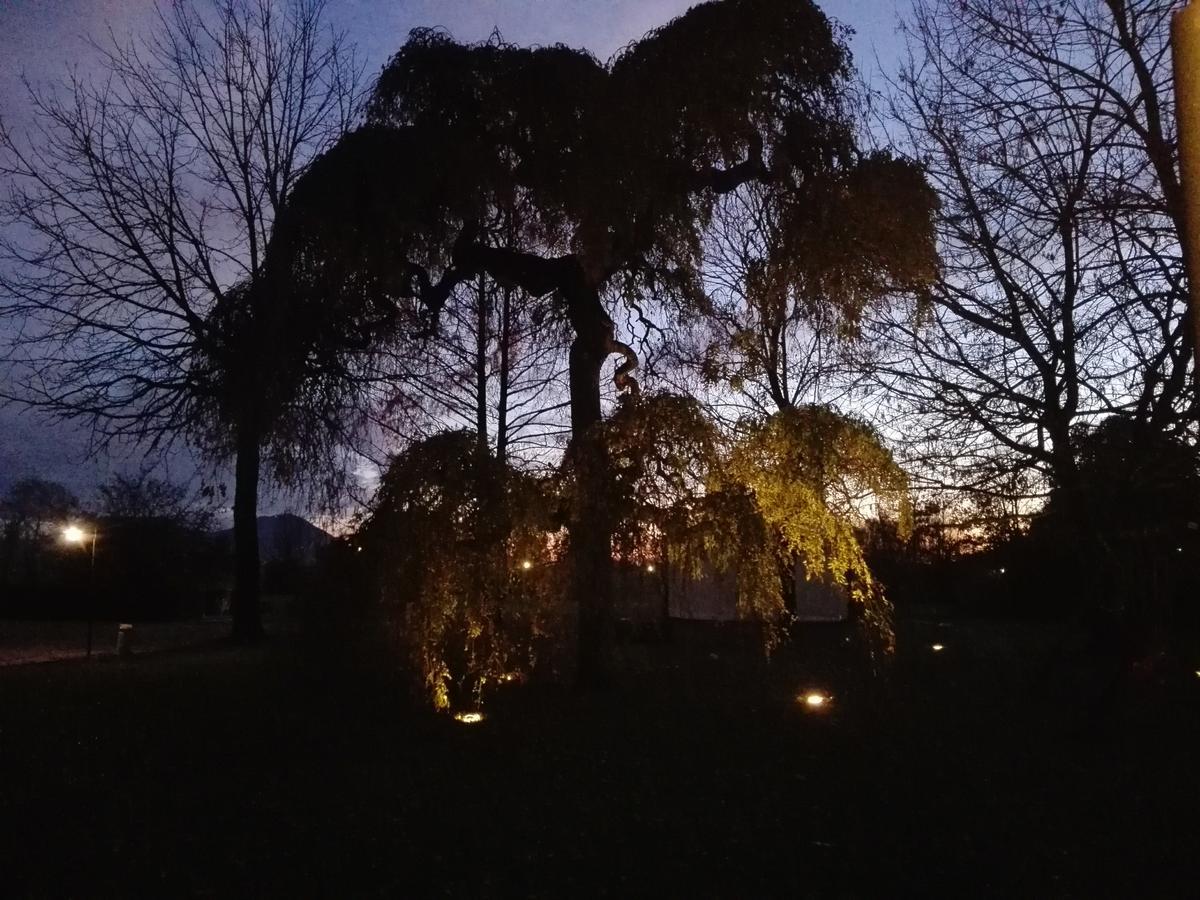 Agriturismo La Sophora Montegaldella Εξωτερικό φωτογραφία