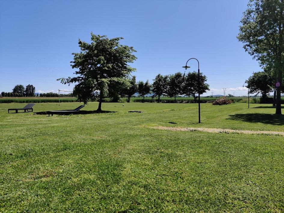Agriturismo La Sophora Montegaldella Εξωτερικό φωτογραφία