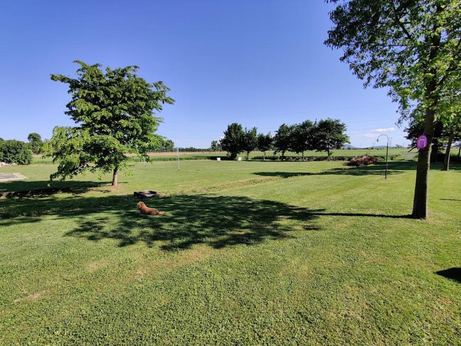 Agriturismo La Sophora Montegaldella Εξωτερικό φωτογραφία